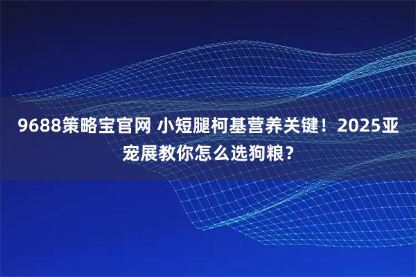 9688策略宝官网 小短腿柯基营养关键！2025亚宠展教你怎么选狗粮？